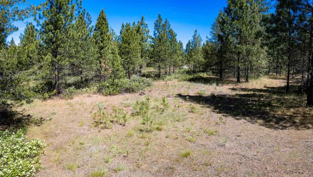 29XXX N Hardesty Rd, Chattaroy, WA 99003