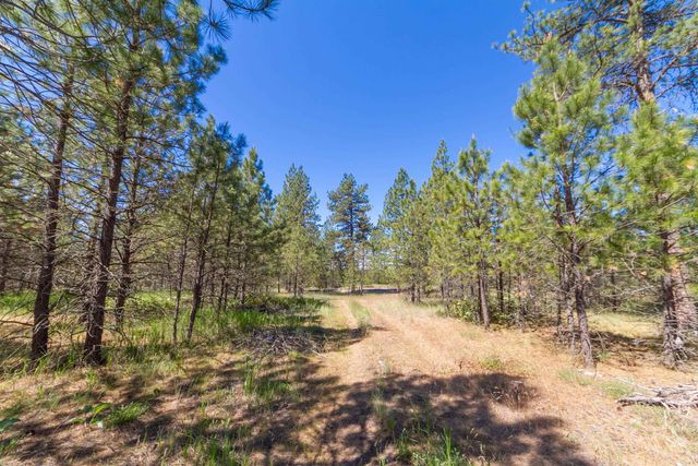 29XXX N Hardesty Rd, Chattaroy, WA 99003