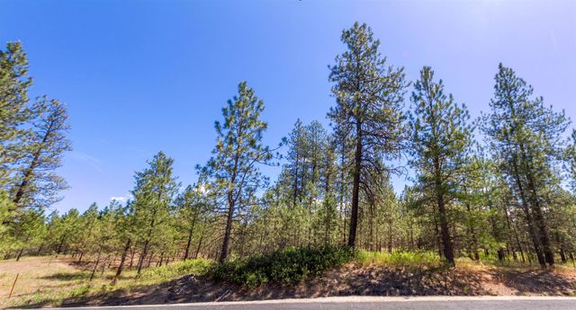 29XXX N Hardesty Rd, Chattaroy, WA 99003