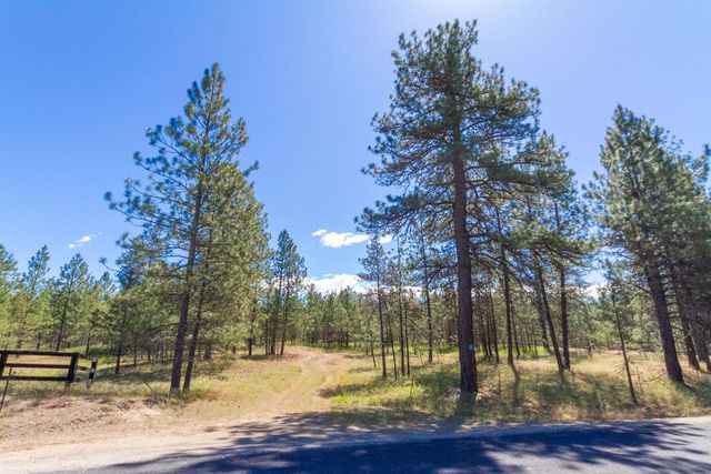 29XXX N Hardesty Rd, Chattaroy, WA 99003