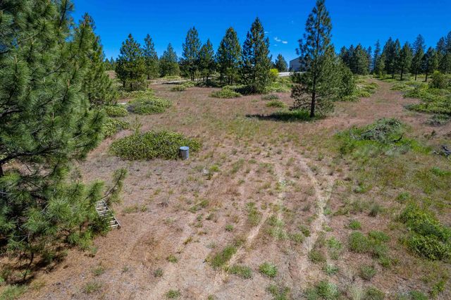 29XXX N Hardesty Rd, Chattaroy, WA 99003