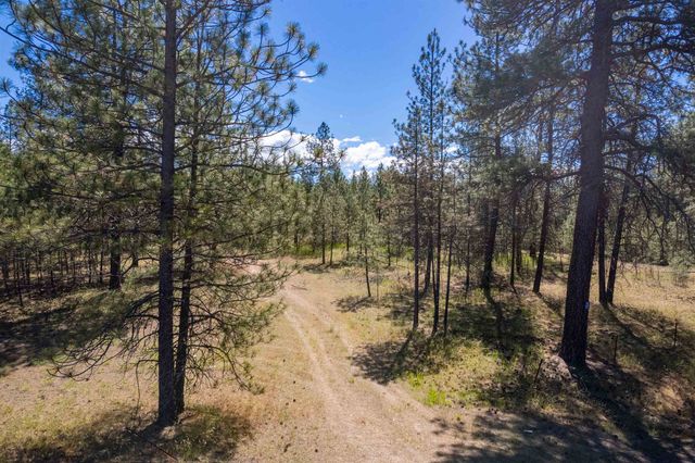 29XXX N Hardesty Rd, Chattaroy, WA 99003