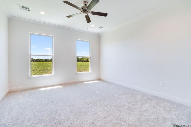 36240 Belle Parc Ave, Geismar, LA 70734