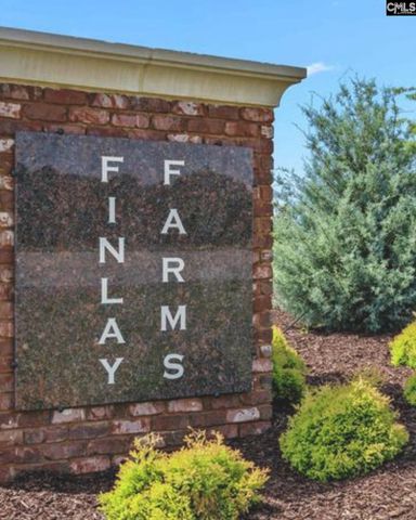 1568 Meditation Lane, Gilbert, SC 29054