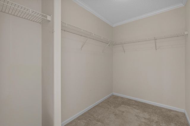 263 Walden Lake Rd., Conway, SC 29526