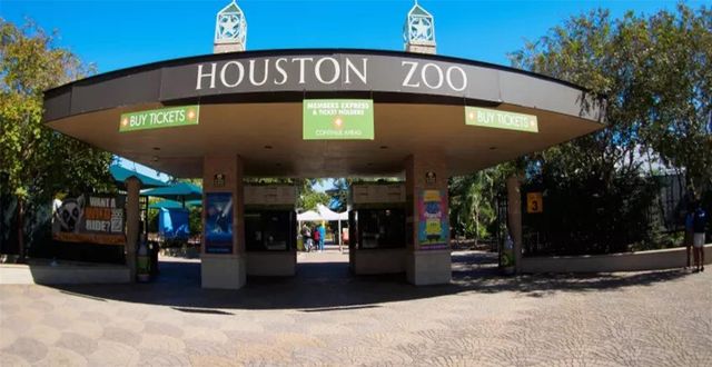 1111 Autrey Street 5, Houston, TX 77006