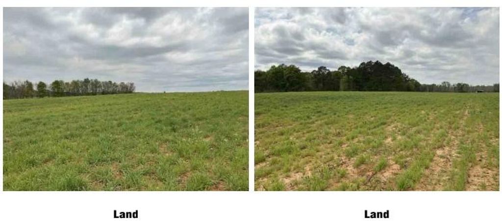 Image 4 of property listing at 1325A Holland Drive, Byromville, GA 31007