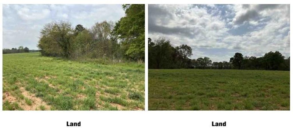 Image 6 of property listing at 1325A Holland Drive, Byromville, GA 31007