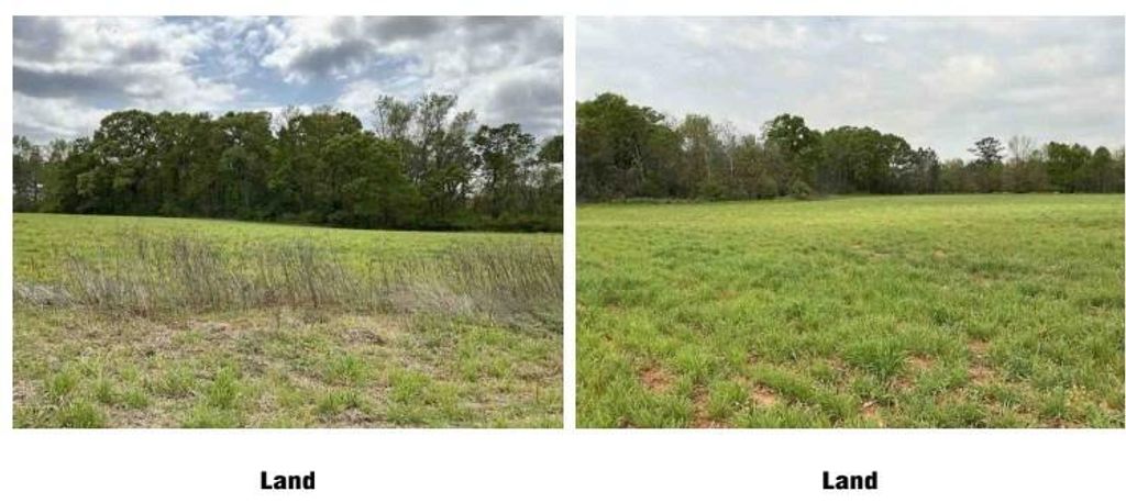 Image 8 of property listing at 1325A Holland Drive, Byromville, GA 31007