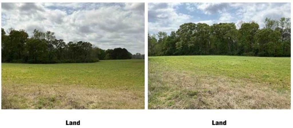 Image 9 of property listing at 1325A Holland Drive, Byromville, GA 31007