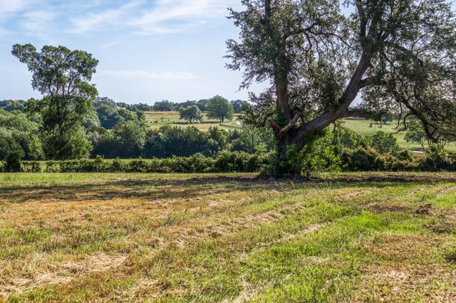 Tract 6 - 8145 Fm 390 E, Brenham, TX 77833