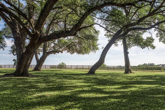 Tract 6 - 8145 Fm 390 E, Brenham, TX 77833
