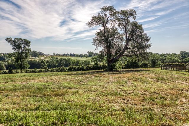 Tract 6 - 8145 Fm 390 E, Brenham, TX 77833