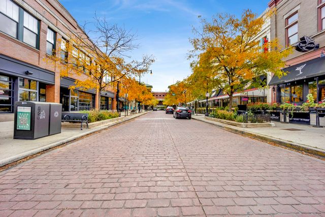 1515 S HALSTED Street 204, Chicago, IL 60607