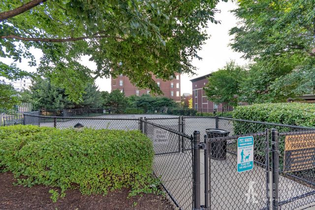 1515 S HALSTED Street 204, Chicago, IL 60607