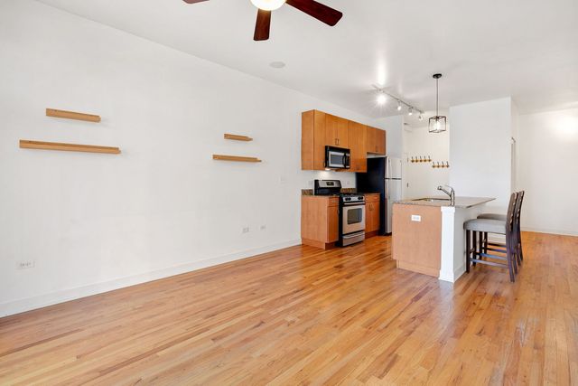 1515 S HALSTED Street 204, Chicago, IL 60607