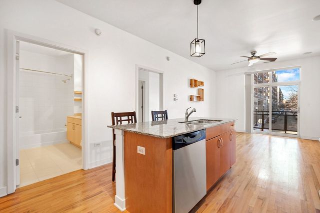 1515 S HALSTED Street 204, Chicago, IL 60607