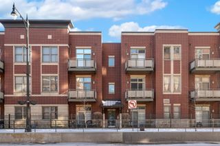 1515 S HALSTED Street 204, Chicago, IL 60607