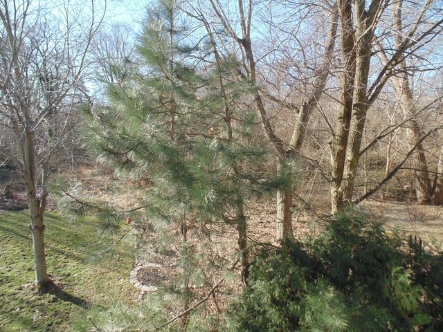 8508 Pine Avenue, Gary, IN 46403