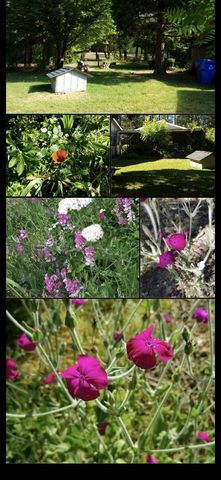 234 Penny Lane, Grants Pass, OR 97527