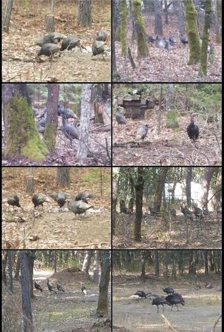 234 Penny Lane, Grants Pass, OR 97527