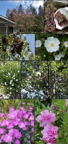 234 Penny Lane, Grants Pass, OR 97527