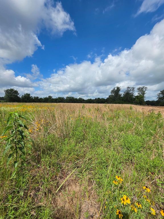 TBD LOT 5 County Road 201, Plantersville, TX 77363
