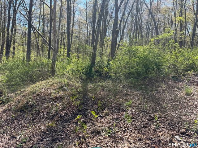 163 Clapboard Ridge Road, Danbury, CT 06811