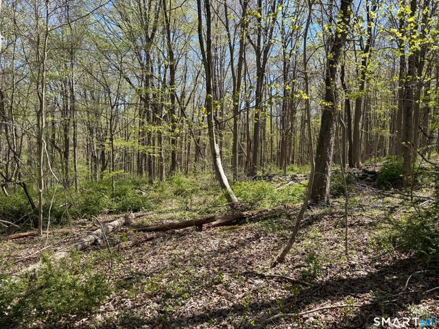 163 Clapboard Ridge Road, Danbury, CT 06811