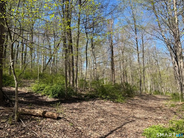 163 Clapboard Ridge Road, Danbury, CT 06811