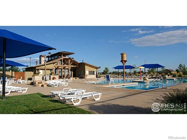 6546 Royal Country Down Drive, Windsor, CO 80550