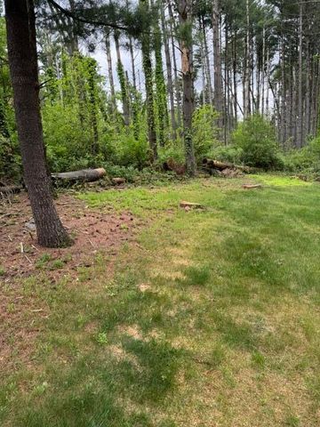 67224 Klinger Lake Road, Sturgis, MI 49091