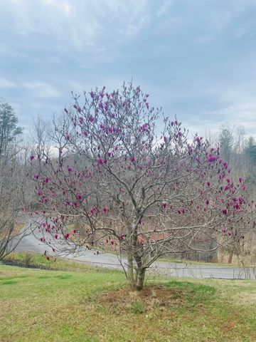 7592 Willow Branch RD, Boones Mill, VA 24065