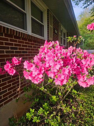 7592 Willow Branch RD, Boones Mill, VA 24065