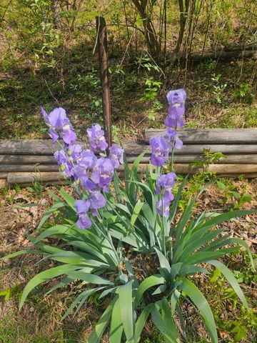 7592 Willow Branch RD, Boones Mill, VA 24065