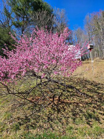 7592 Willow Branch RD, Boones Mill, VA 24065