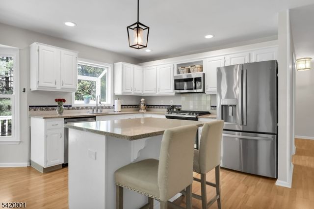 16 Lenape Ct, Bernards Twp., NJ 07920
