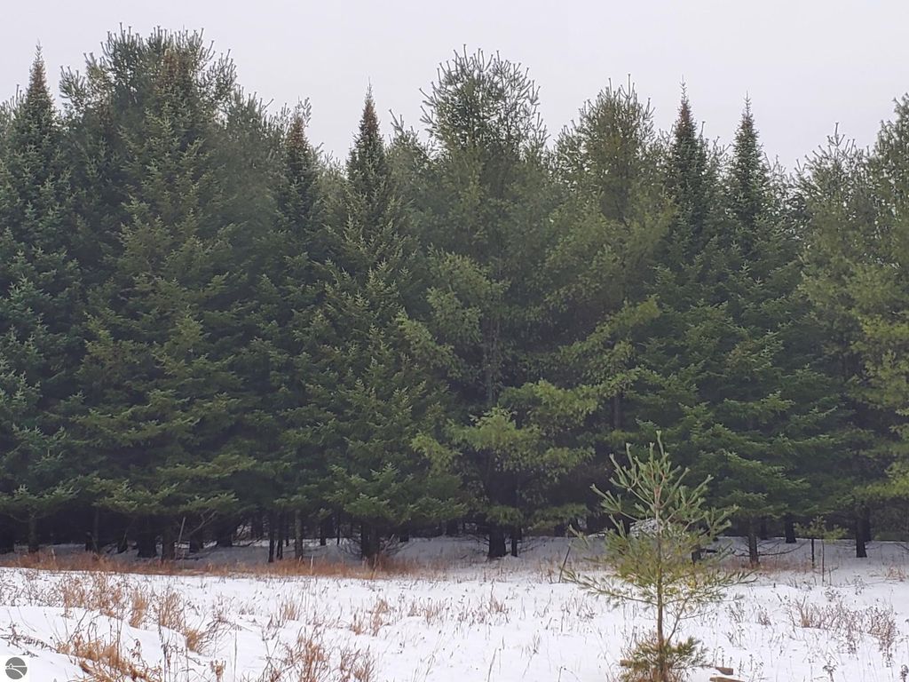 Image 2 of property listing at 2788 Greenwood Road, Prescott, MI 48756