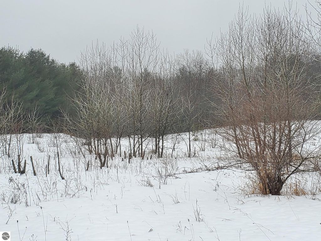 Image 3 of property listing at 2788 Greenwood Road, Prescott, MI 48756