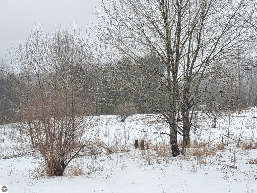 Image 4 of property listing at 2788 Greenwood Road, Prescott, MI 48756