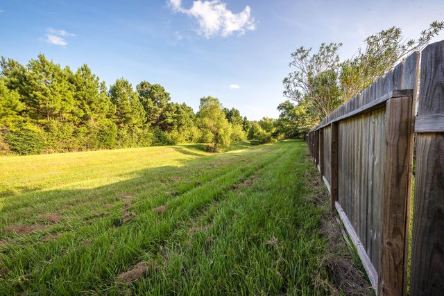 3231 Pedernales Trails Lane, Katy, TX 77450