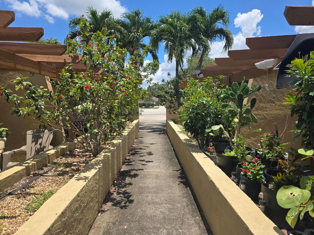 1155 White Pine Pine 1155, Wellington, FL 33414