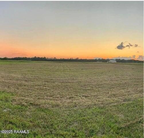 Vie Terre Beau Road, Basile, LA 70515