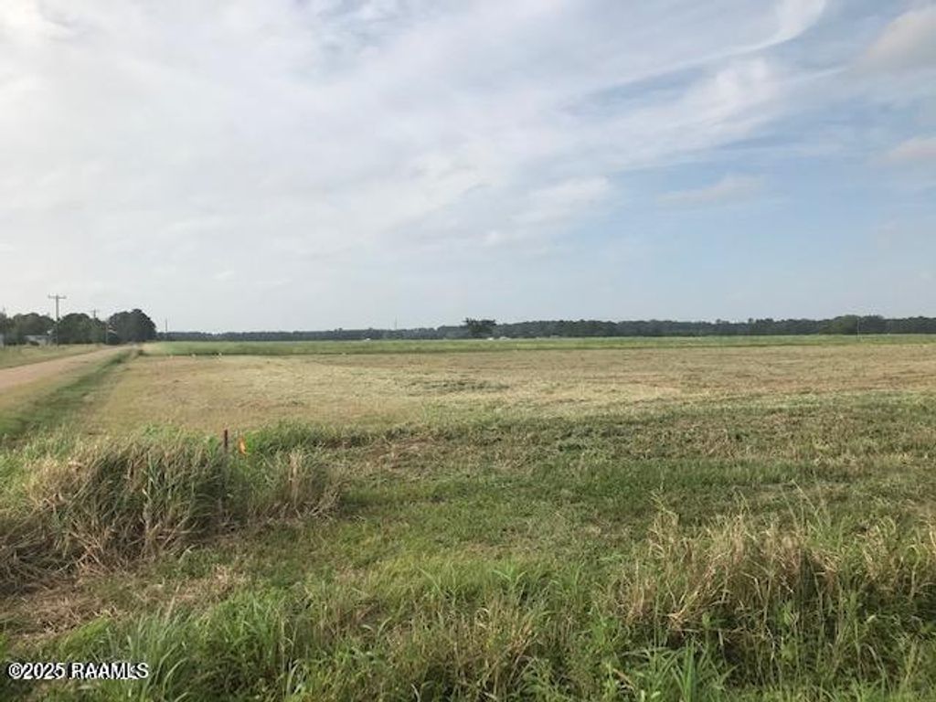 Vie Terre Beau Road, Basile, LA 70515