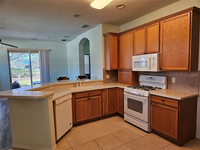 1161 JAMESON GREENS DRIVE, Sun City Center, FL 33573