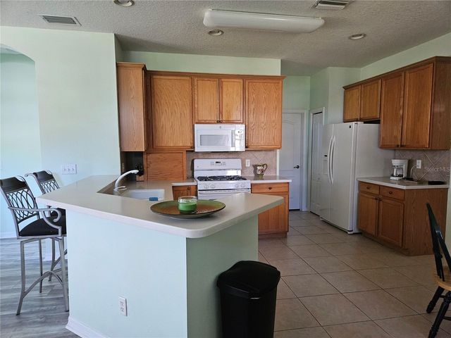 1161 JAMESON GREENS DRIVE, Sun City Center, FL 33573