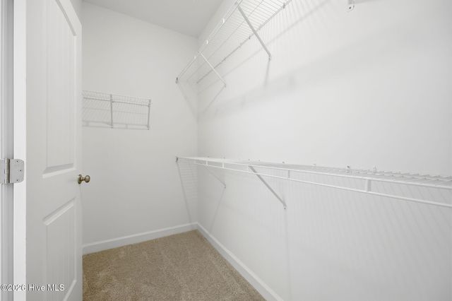 980 Rialto Lane, Ayden, NC 28513