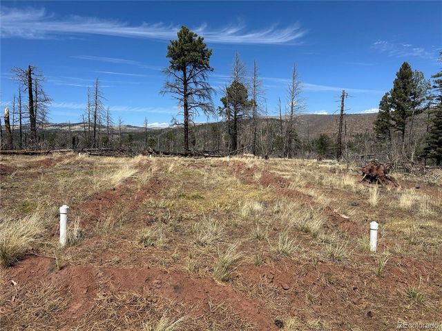 lot 542 Forbes Park, Fort Garland, CO 81133
