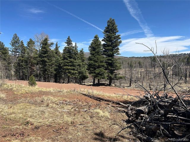 lot 542 Forbes Park, Fort Garland, CO 81133