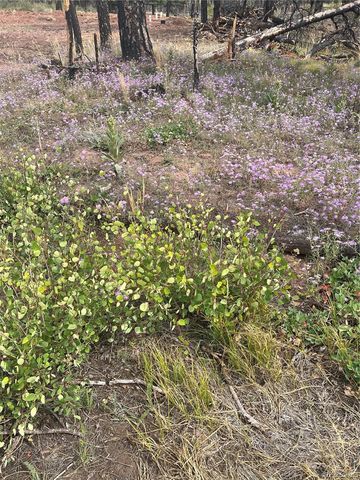 lot 542 Forbes Park, Fort Garland, CO 81133